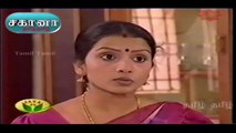 Sahana Serial Episode 100 | TV Serial | Tamil Serial.
