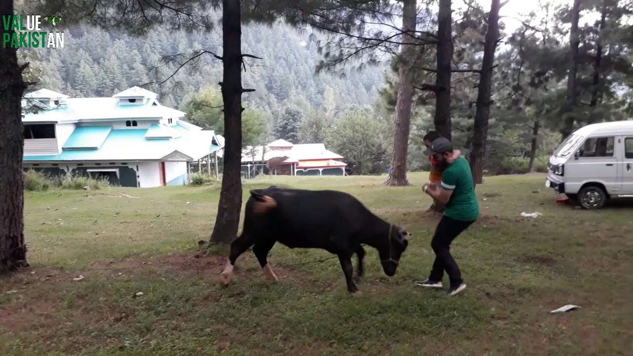 Travel Vlog Islamabad to Azad Jammu Kashmir|2020|Value Pakistan