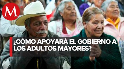 Ssa presenta estrategia para apoyo a adultos mayores ante covid-19