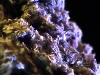 How Its Made - 349 Cellulose Insulation