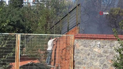 Pendik’te ağaçlık alanda çıkan yangını söndürmek için pazarcılar seferber oldu