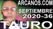 TAURO SEPTIEMBRE 2020 ARCANOS.COM - Horóscopo 30 de agosto al 5 de septiembre de 2020 - Semana 36