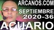 ACUARIO SEPTIEMBRE 2020 ARCANOS.COM - Horóscopo 30 de agosto al 5 de septiembre de 2020 - Semana 36