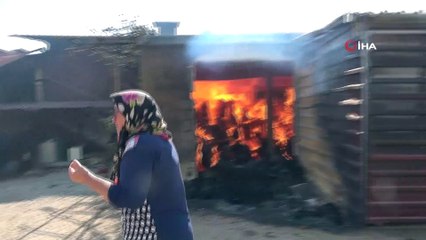 Yeşil ormandan geriye külleri kaldı