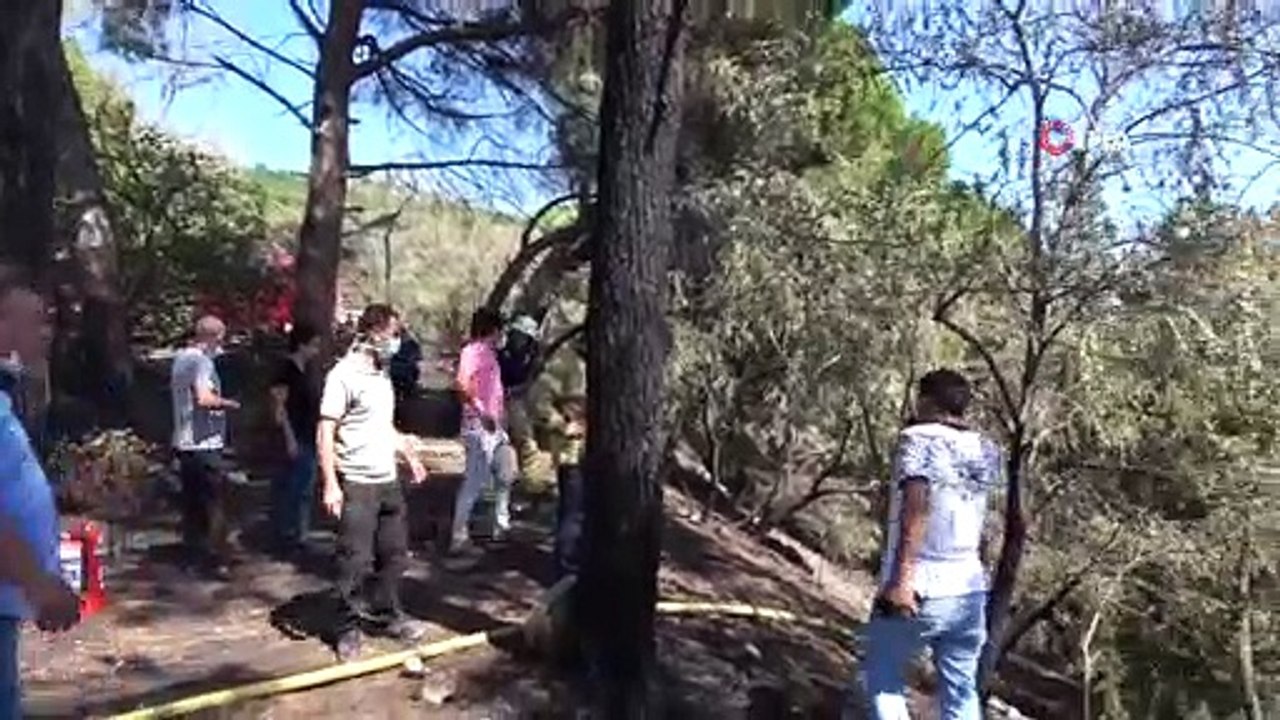 - Maltepe’de ormanlık alanda yangın