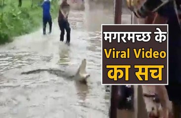 सोशल मीडिया पर होशंगाबाद का बताया जा रहा वीडियो