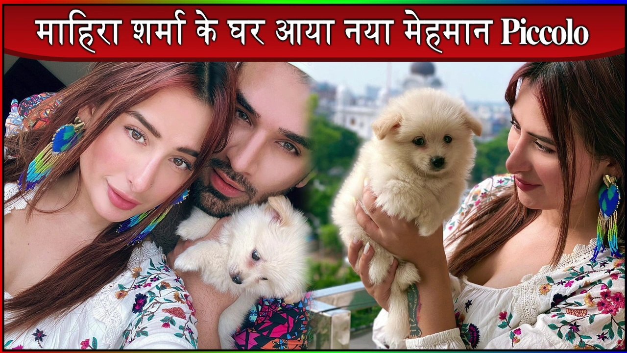Bigg Boss 13's Mahira Sharma And Paras Chhabra Share Picture With Their New Pet Piccolo #pahira