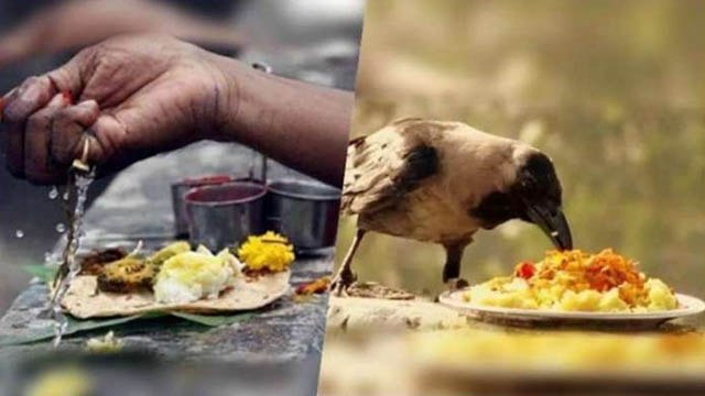 Pitru Paksha 2020: पितृपक्ष में क्या करें और क्या ना करें | Pitru Paksha Do's and Dont's | Boldsky