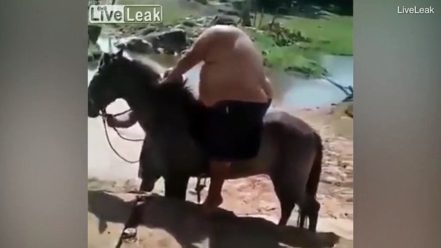 Un homme obèse rigole lorsqu'il monte sur un petit cheval qui s'écrase sous son poids.