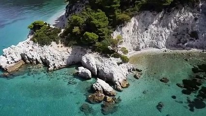 JTBC 허벅지씨름 축구 골키퍼도전 뭉쳐야산다 추성훈 안정환 김동현 이대훈나이,안정환나이운동 ufc 콜라 눈알 로우킥 유도 노래 김종국 사랑이 아는형님 하나의사랑 집사부일체 훈육