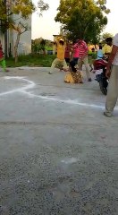 काशीराम आवास कॉलोनी में दबंगों ने महिला को लाठी-डंडो से पीटा