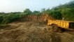 आगरा: बीहड़ में मिट्टी का अवैध खनन, प्रशासन बेखबर