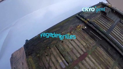 CRYO'géni machine offset Komori L-440 | Région Grand Est