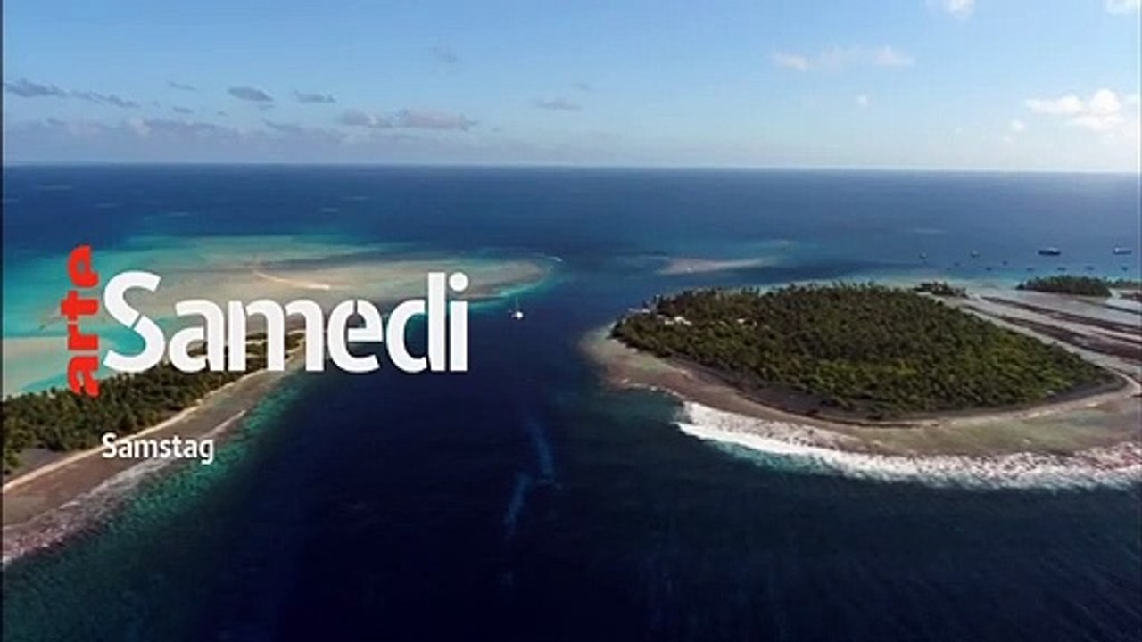 700 requins dans la nuit