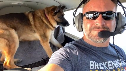 Dog Experiences Negative G-Force While Flying With Owner on Plane