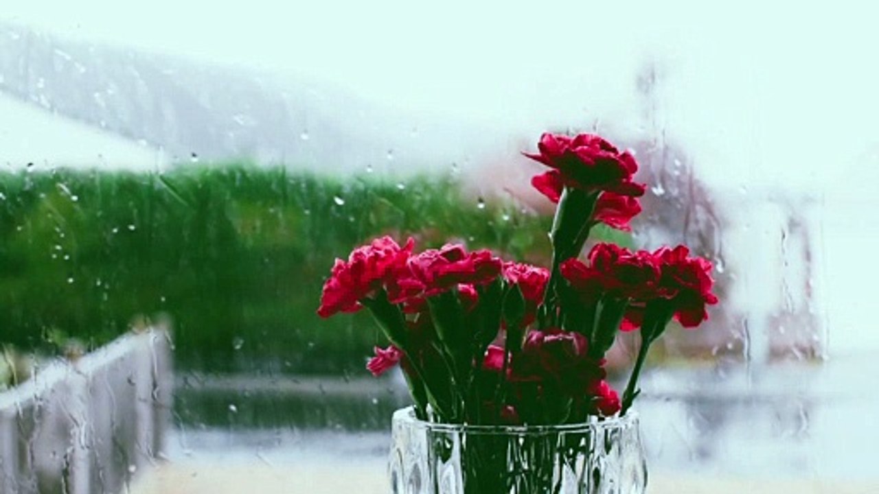 Relaxing Rain Video
