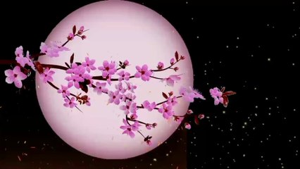 คืนนี้เหงาเท่ากันไหม[4k_60fps]@by_Karn Love Song