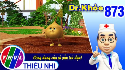 Dr. Khỏe - Tập 873: Công dụng của củ sắn (củ đậu)