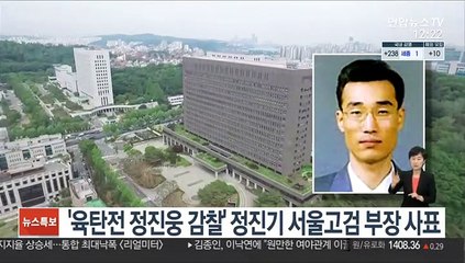 '육탄전 정진웅 감찰' 정진기 서울고검 부장 사표