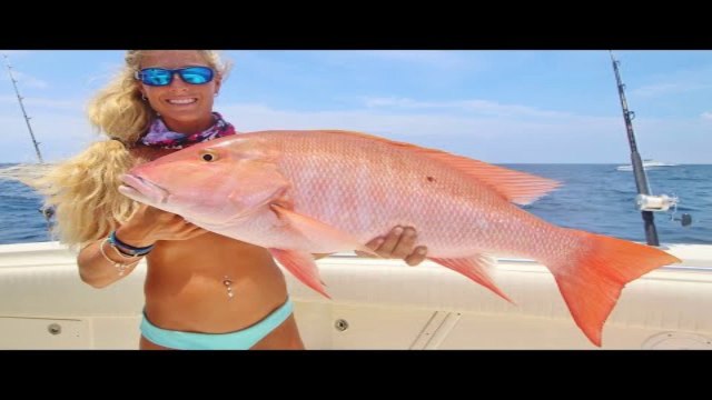 BIG Mutton & Grouper Wreck Fishing the Florida Keys