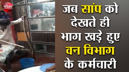 जब सांप को देखते ही भाग खड़े हुए वन विभाग के कर्मचारी