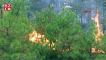 Ankara’daki orman yangını kontrol altına alındı