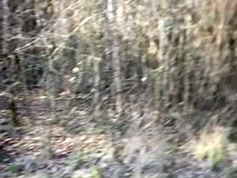 La cote du gaz par Bruno 2