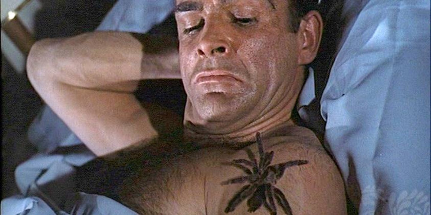 Des araignées énormes envahissent les maisons de France