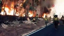 İspanya'da çıkan orman yangını hızla yayılıyor