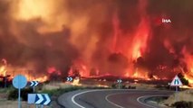 - İspanya'da çıkan orman yangını hızla yayılıyor- 10 bin hektarlık alan küle döndü