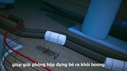 GIỚI THIỆU VỀ BỘ NHÃ THỦY TĨNH CHIYANG CHO BÈ CỨU SINH