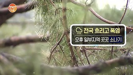 전국 흐리고 폭염, 오후 일부지역 곳곳 소나기