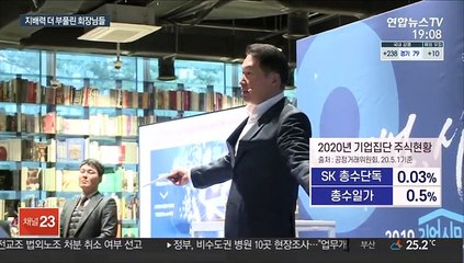 총수일가 지분 더 줄어 3.6%뿐…규제 사각지대 증가