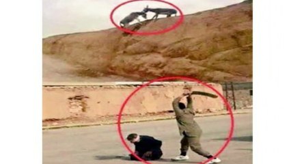 A donkey saves a donkey While a human being killed a human being