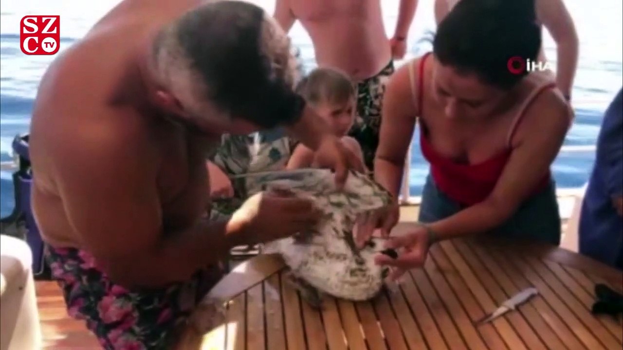 Denizde oltaya takılıp can çekişen martı kaptan tarafından kurtarıldı