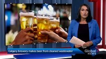 Alberta brewery makes beer from recycled wastewater