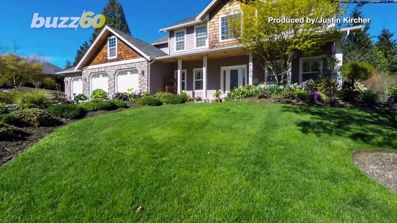 When It Comes to Home Improvements, Americans Are Bringing the Outside World to Their Houses