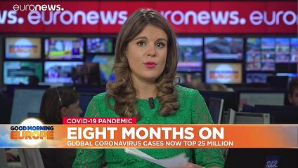 Coronavirus eight months on: from 27 cases to 25 million