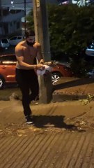 Possum Saved From Being Washed Away in Pouring Rain