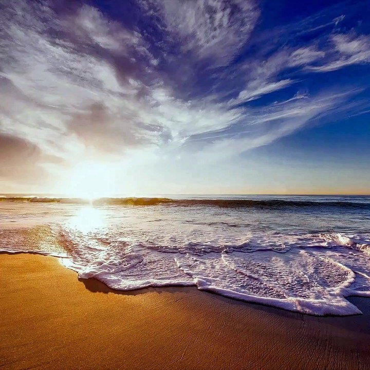 National Beach Day