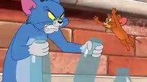 Tom and Jerry Videos | Tom and Jerry funny videos | TomandJerry Show | Tom and Jeery Cartoon Video