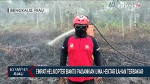 Empat Helikopter Bantu Padamkan Lima Hektar Lahan Terbakar