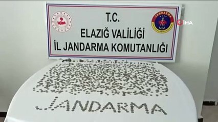 Jandarma alıcı kılığına girdi, Roma dönemine ait bin 188 adet tarihi eser ele geçirildi