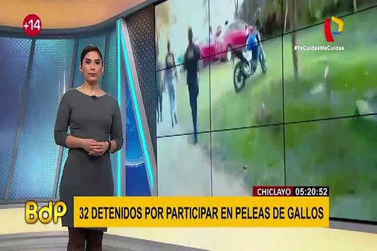 PNP interviene pelea de gallos con más de 30 asistentes en Chiclayo