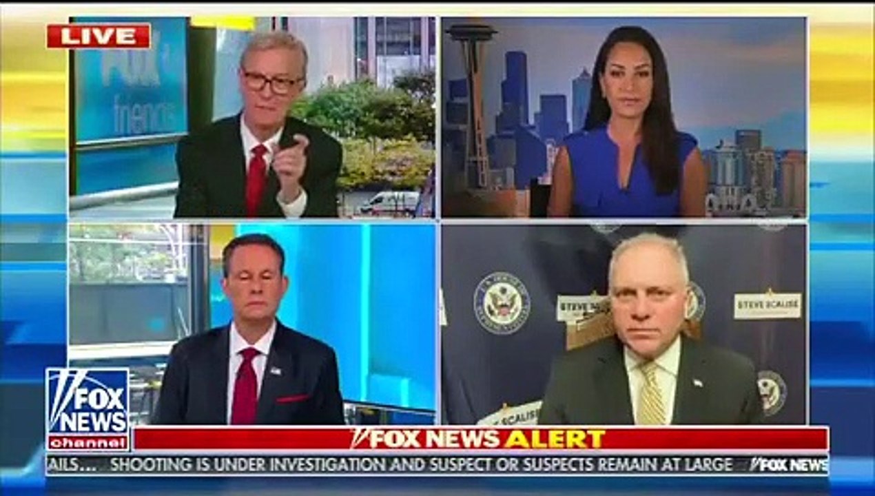 Steve Scalise Defends Deleted Twitter Video After Disabled Activist Calls Him Out For Doctoring Interview With Joe Biden