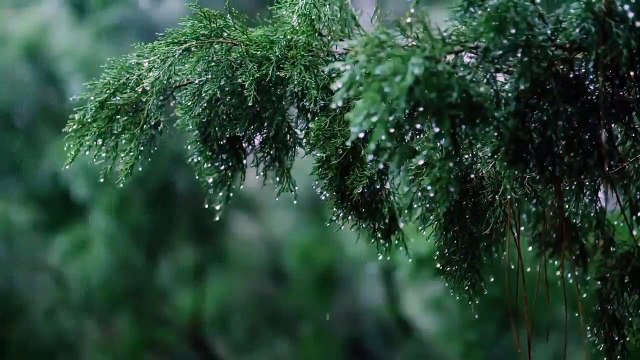 Calming Piano Music with Rain & Thunder Sounds for Sleep or Relaxing • 'Rainy Day'