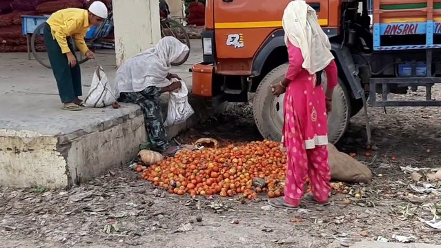 सब्जी मंडी में रोजाना हो रही है लाखों रुपए की सब्जी खराब