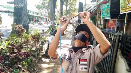 Officers suit up to extract giant hornet nests after people in Indonesia attacked by swarm