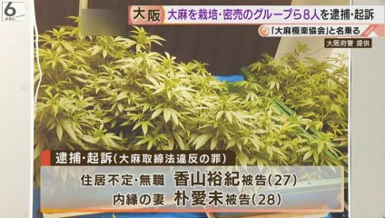 SNSで大麻販売　無職の香山裕紀被告（27）と、内縁の妻で韓国籍の朴愛未被告（28）ら8人逮捕・起訴