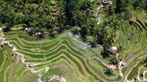 Drone view of beautiful green landscape